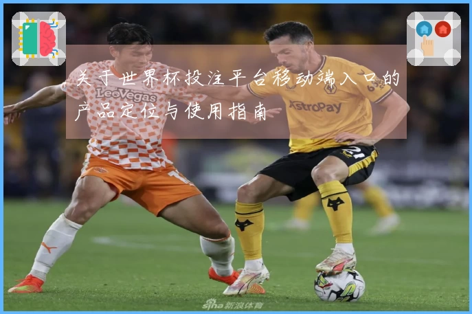关于世界杯投注平台移动端入口的产品定位与使用指南