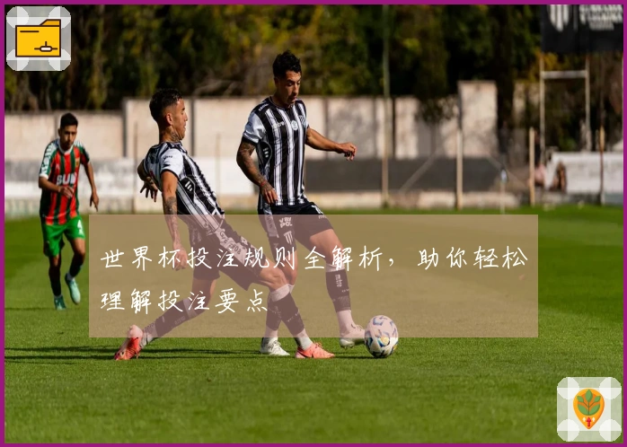 世界杯投注规则全解析，助你轻松理解投注要点