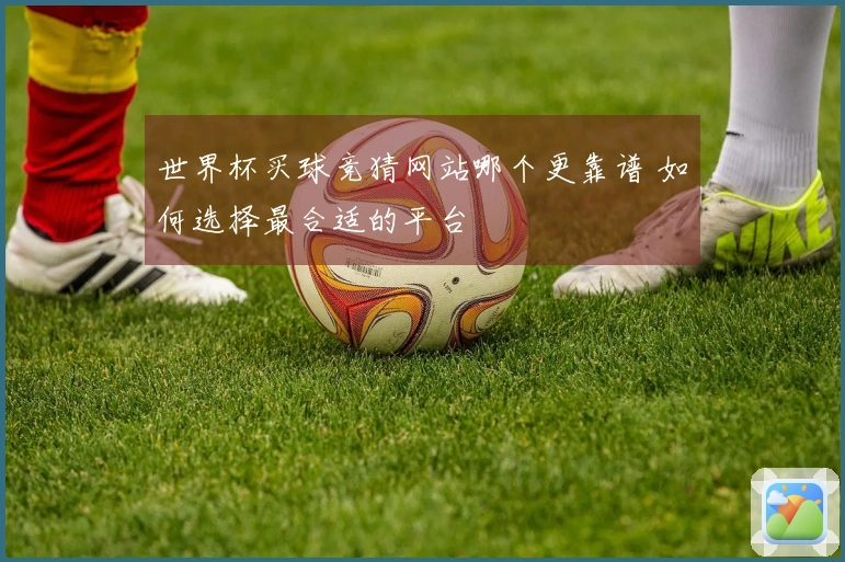 世界杯买球竞猜网站哪个更靠谱 如何选择最合适的平台