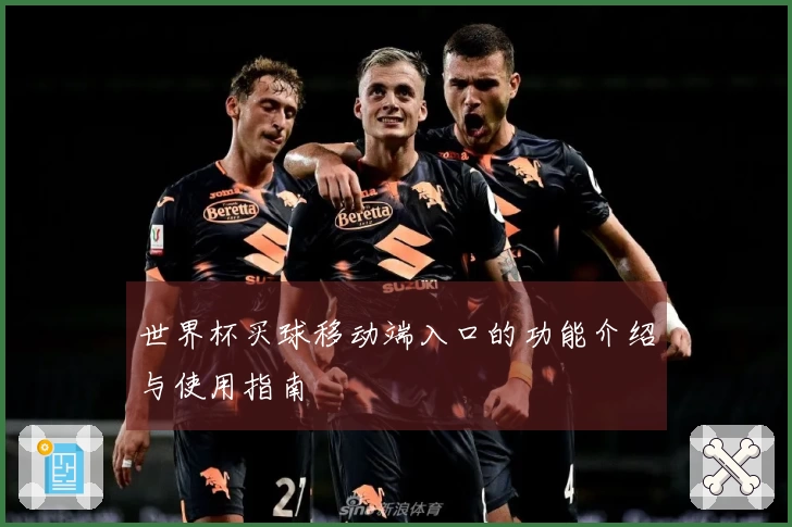 世界杯买球移动端入口的功能介绍与使用指南