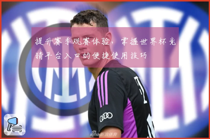 提升赛季观赛体验，掌握世界杯竞猜平台入口的便捷使用技巧