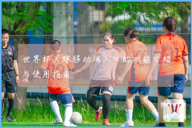 世界杯买球移动端入口的功能介绍与使用指南