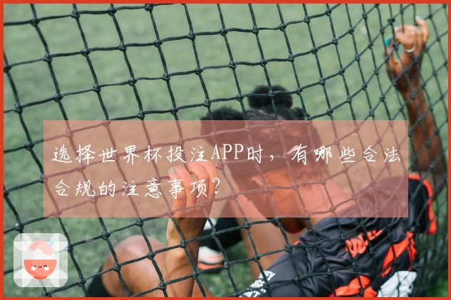 选择世界杯投注APP时，有哪些合法合规的注意事项？