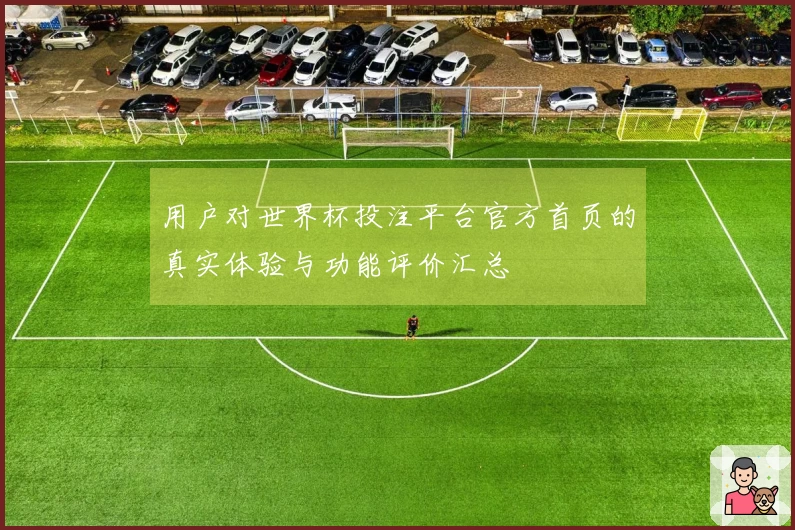 用户对世界杯投注平台官方首页的真实体验与功能评价汇总