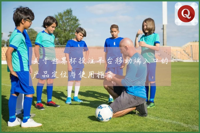 关于世界杯投注平台移动端入口的产品定位与使用指南