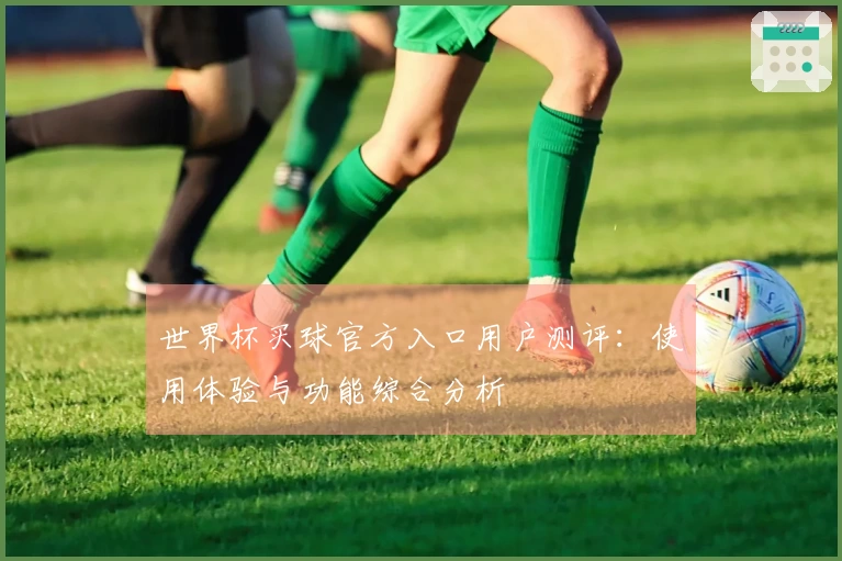 世界杯买球官方入口用户测评：使用体验与功能综合分析