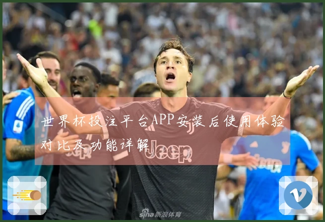 世界杯投注平台APP安装后使用体验对比及功能详解