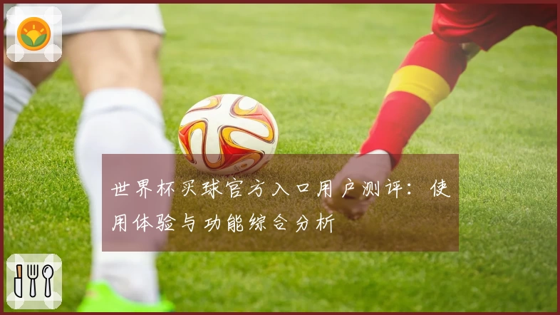 世界杯买球官方入口用户测评：使用体验与功能综合分析