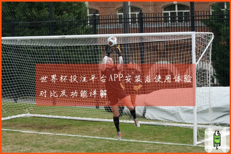 世界杯投注平台APP安装后使用体验对比及功能详解