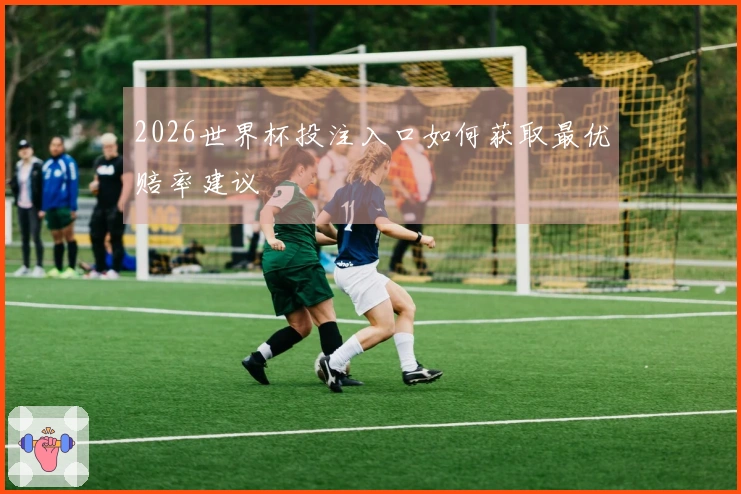 2026世界杯投注入口如何获取最优赔率建议