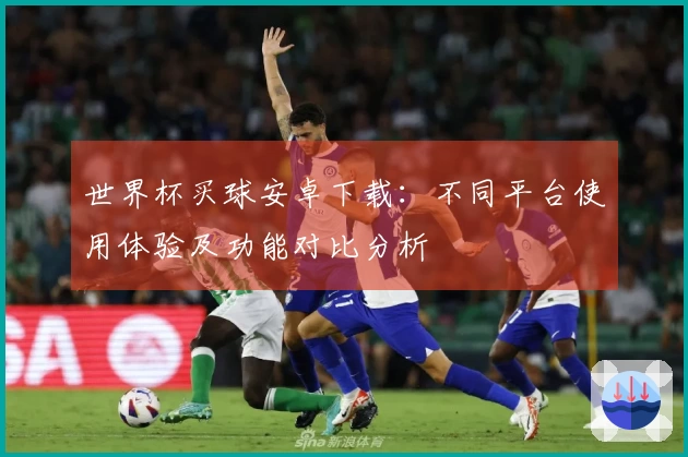 世界杯买球安卓下载：不同平台使用体验及功能对比分析