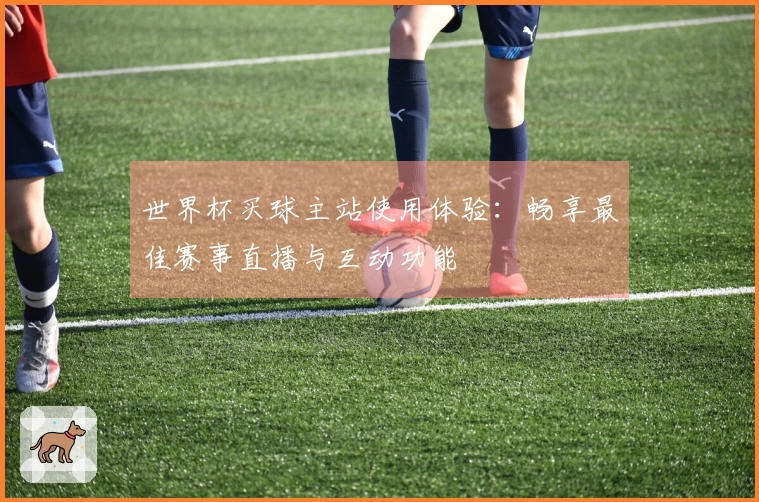 世界杯买球主站使用体验：畅享最佳赛事直播与互动功能