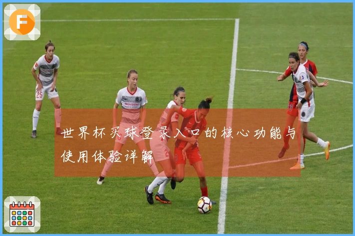 世界杯买球登录入口的核心功能与使用体验详解