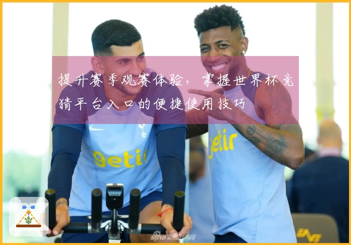 提升赛季观赛体验，掌握世界杯竞猜平台入口的便捷使用技巧