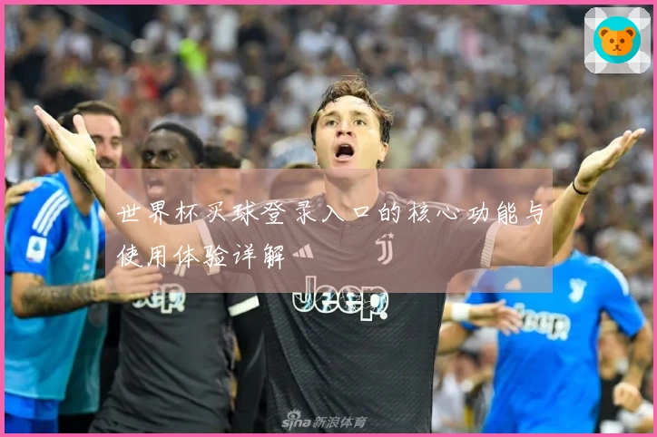 世界杯买球登录入口的核心功能与使用体验详解